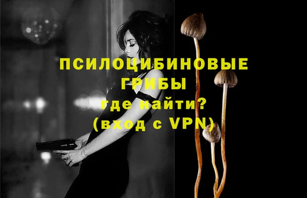 первитин Алексеевка