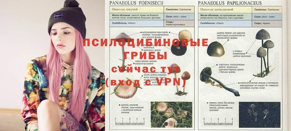 кристаллы Алексин